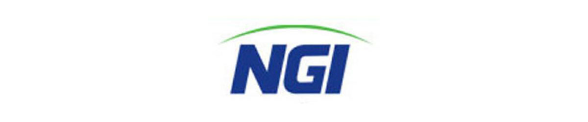 National General Insurance Co